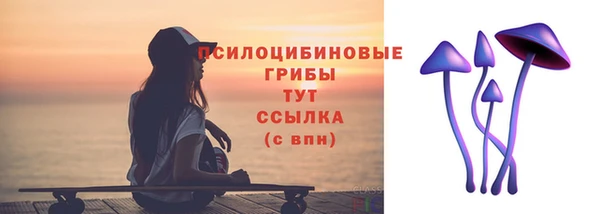 тгк Зеленодольск