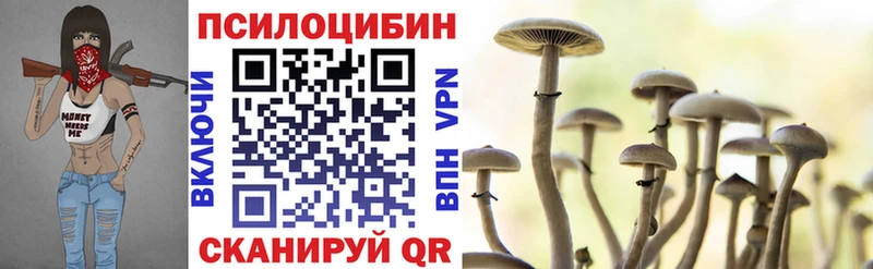 Купить закладки  Салаир  Галлюциногенные грибы MAGIC MUSHROOMS 