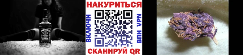 Конопля индика  Купить где  Салаир 